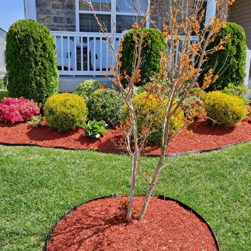 Landscaping